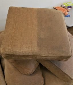 Cushion Cleaning Before & After